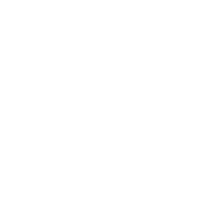 Top 100 icon