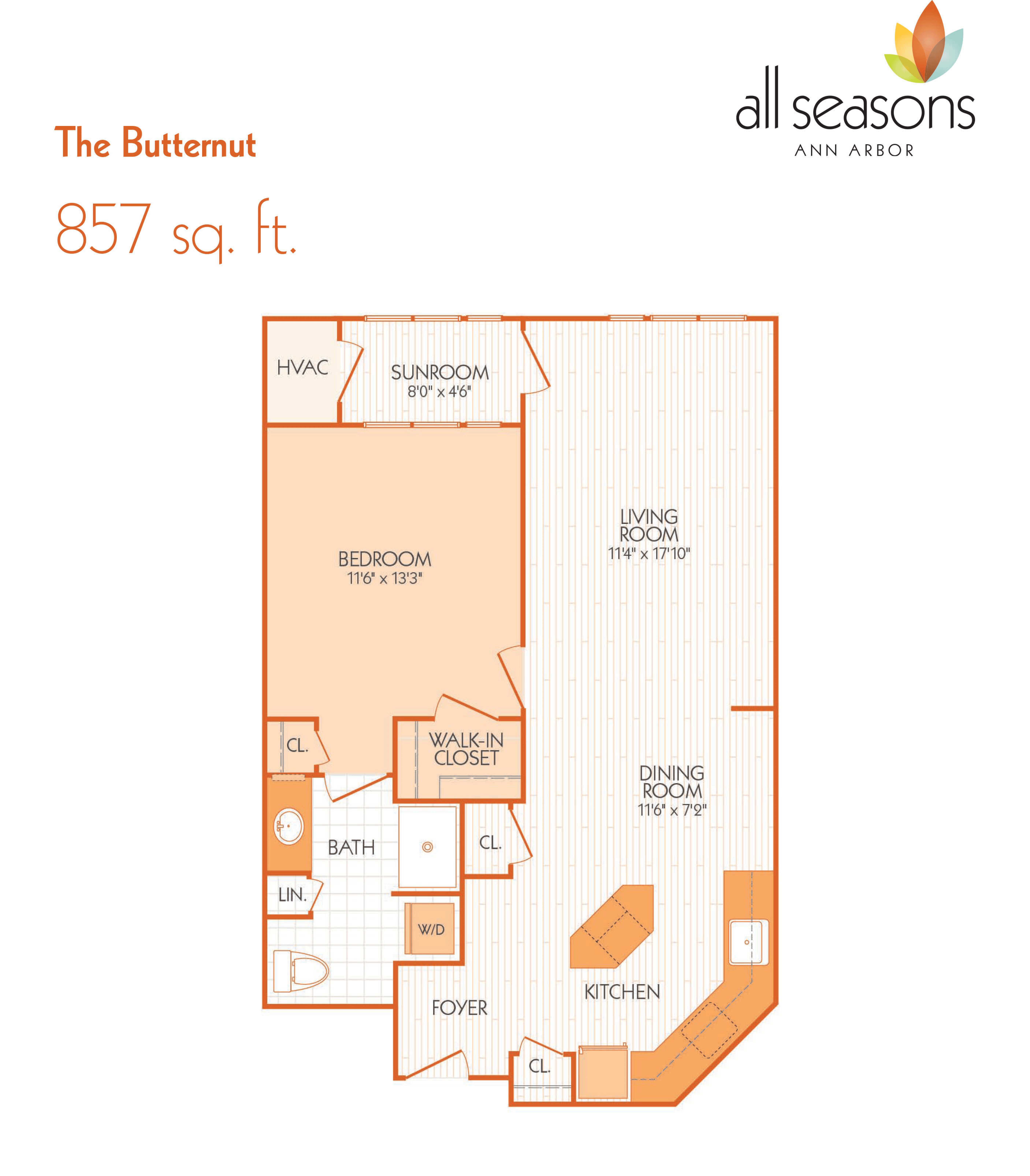 The Butternut