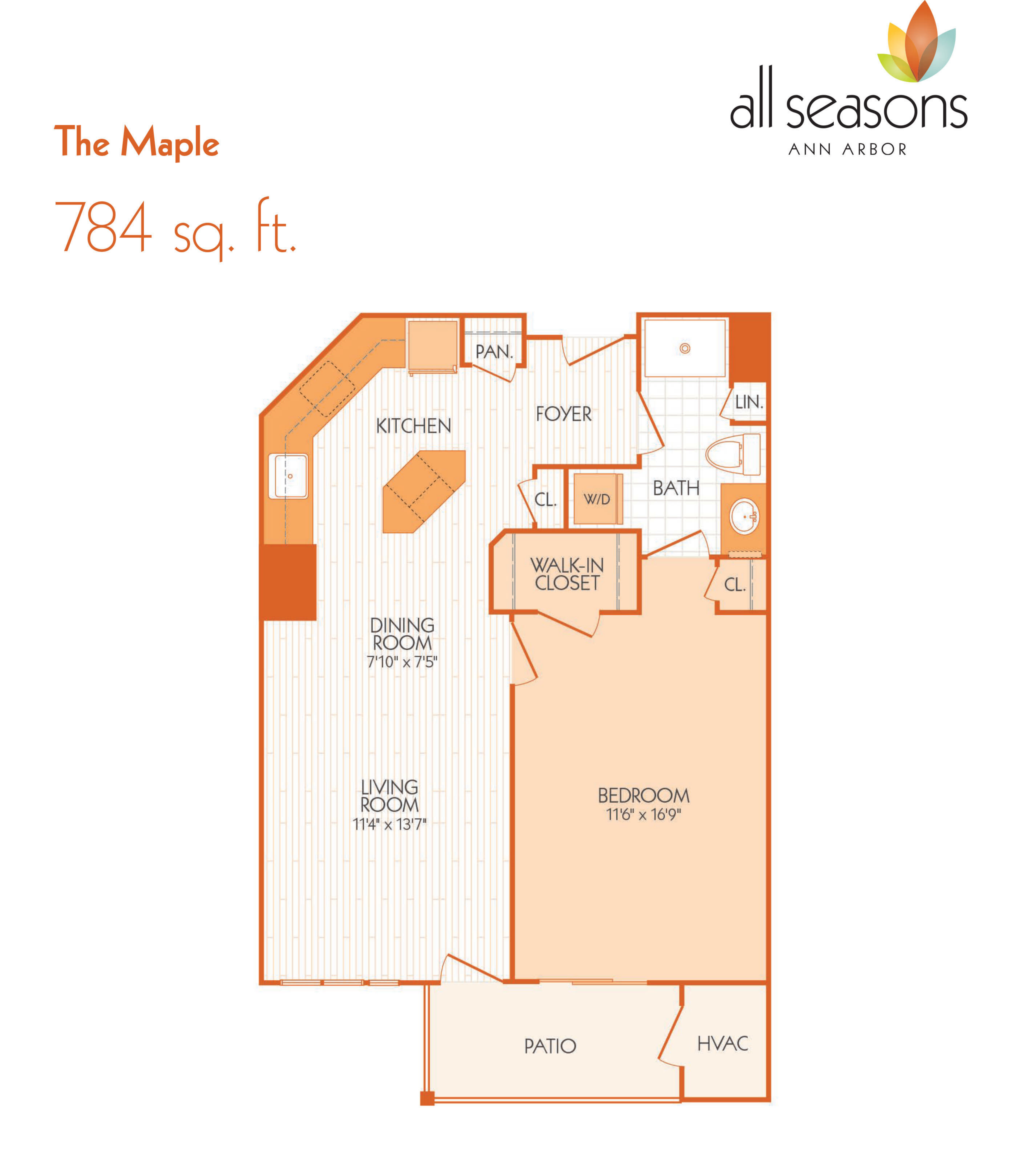 the maple