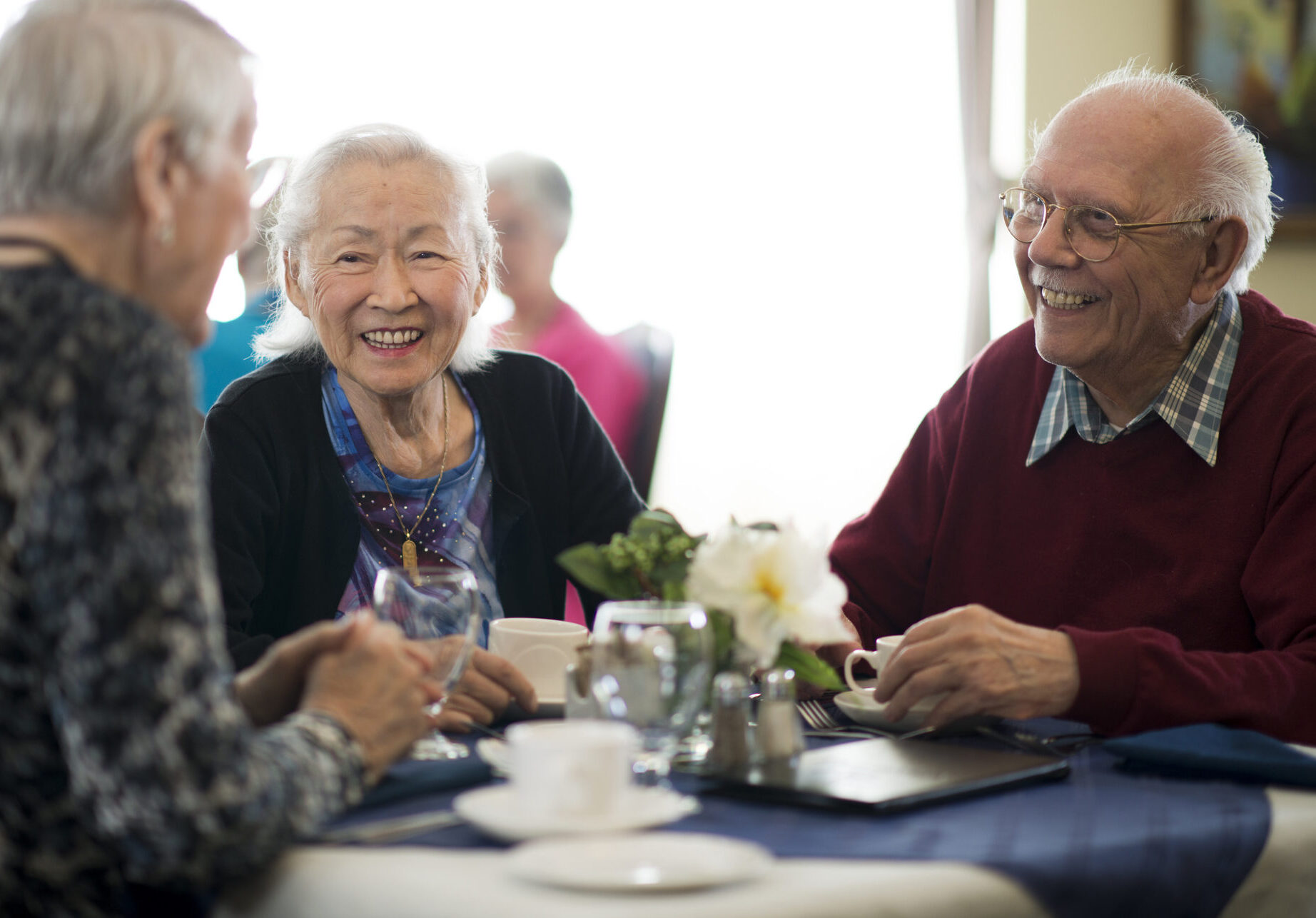 A group of senior adults are having a meal together. They are sitting at a table and are talking among themselves.